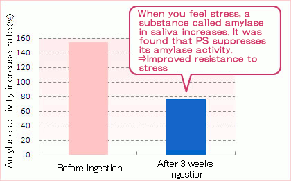 When you feel stress, a substance called amylase in saliva increases. It was found that PS suppresses its amylase activity.  Improved resistance to stress!
