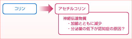 アセチルコリン 情報伝達物質
・加齢とともに減少
・分泌量の低下が認知症の原因?