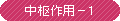 中枢作用-1
