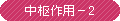 中枢作用-2