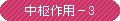 中枢作用-3