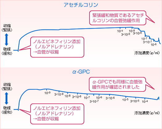 血圧低下作用