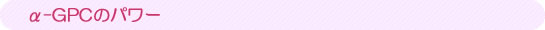 α-GPCのパワー