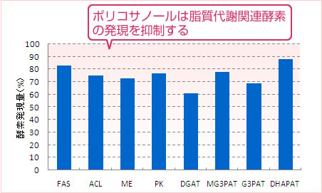 ポリコサノールは脂質代謝関連酵素の発現を抑制する