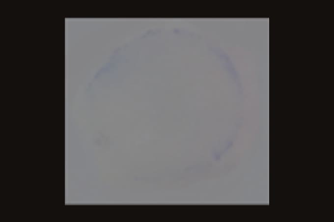 After wiping off, containing MODIPER® F246