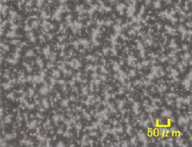 After Curing MODIPER® S501