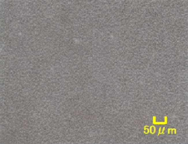 Before Curing MODIPER® S501