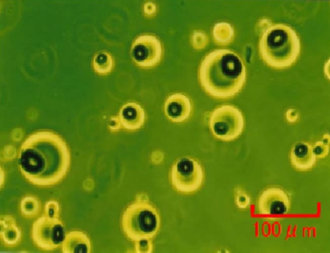 MODIPER® M202S Optical Microscope