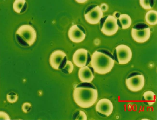 Cross-linked Optical Microscope
