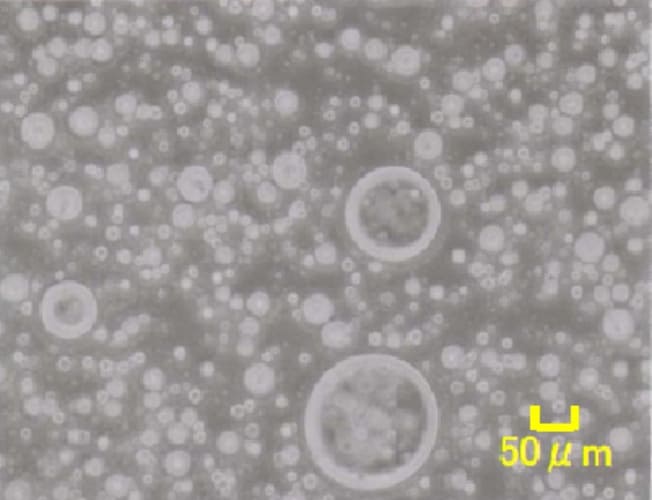 Before Curing PVAc/PS Simple Blend
