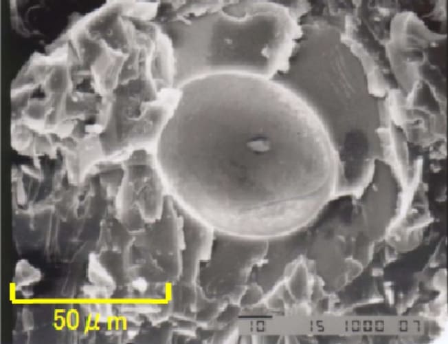 MODIPER® M202S SEM Photograph