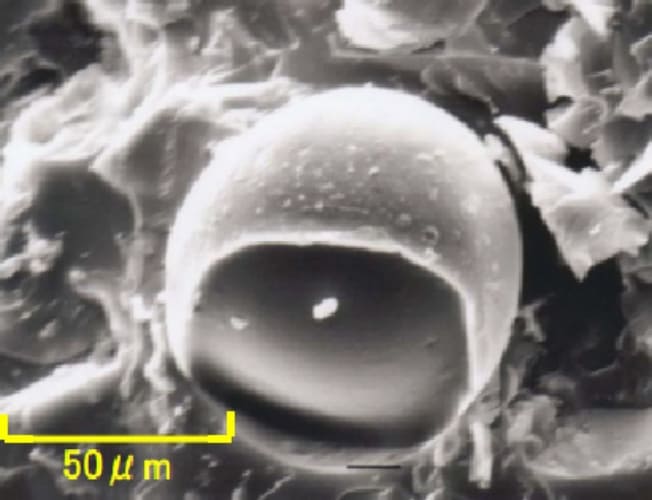 Cross-linked PS SEM Photograph