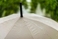 Umbrella