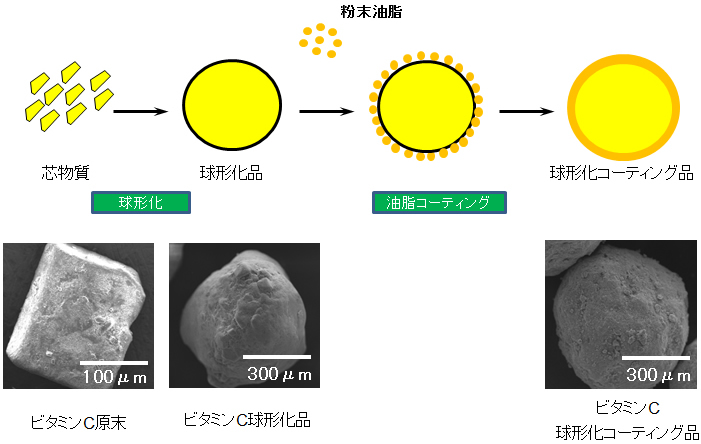 球形化コーティングのイメージ