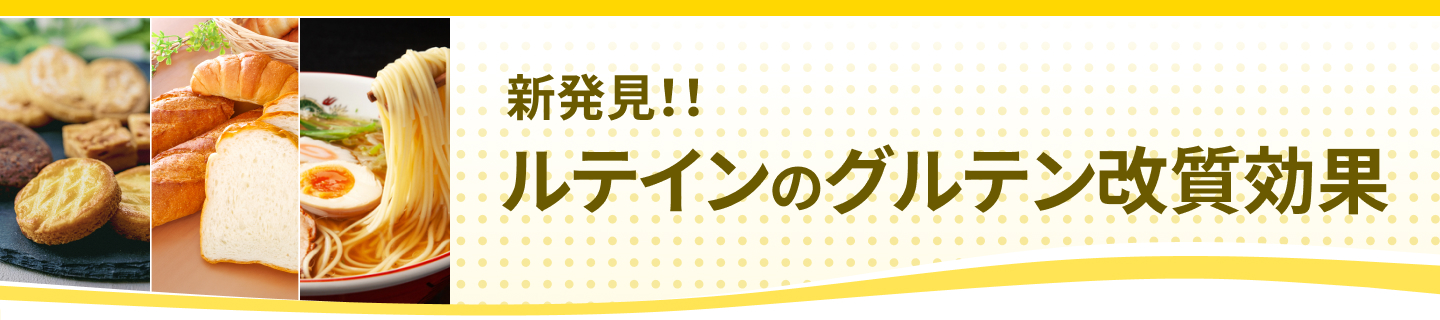 新発見！！ルテインのグルテン改質効果