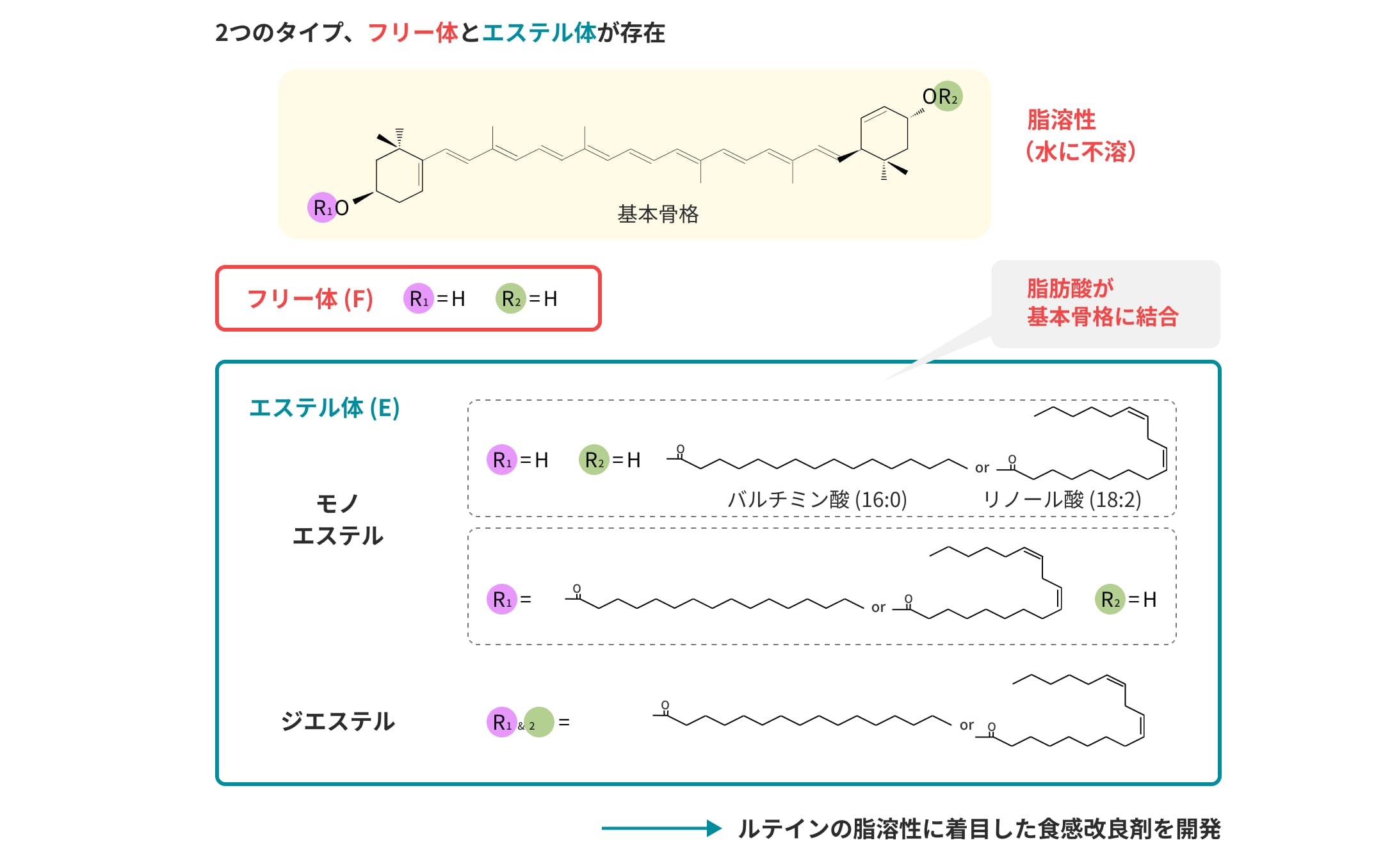 分子構造