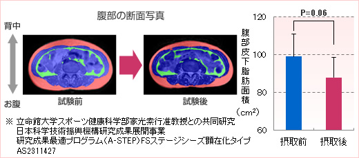 α-GPC̐ێ