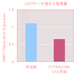 RQi[[`q