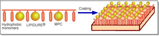 photo2: Coating Model