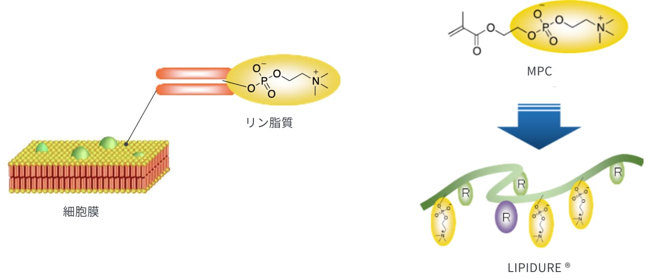 「LIPIDURE®（リピジュア）」をコアプロダクトに世界のライフサイエンス業界の技術革新に貢献