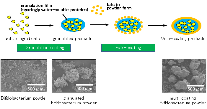 Multi-coating