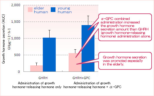 α-GPC combined administration increased the growth hormone secretion amount than GHRH (growth hormone-releasing hormone) administration alone. Growth hormone secretion was promoted especially in the elderly.