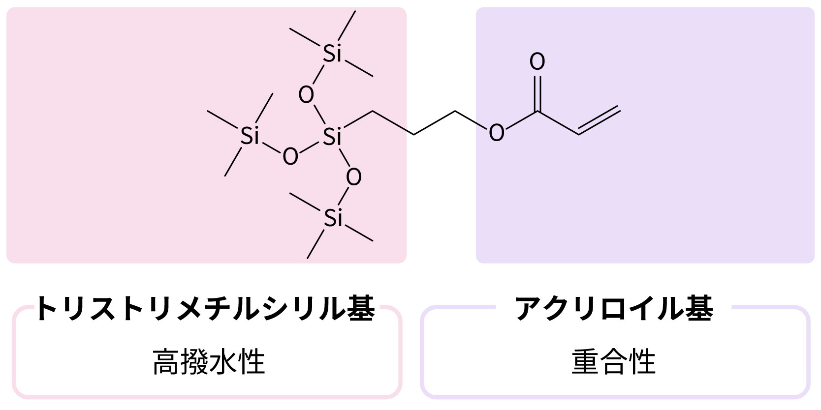 トリストリメチルシリル基：⾼撥⽔性,アクリロイル基：重合性