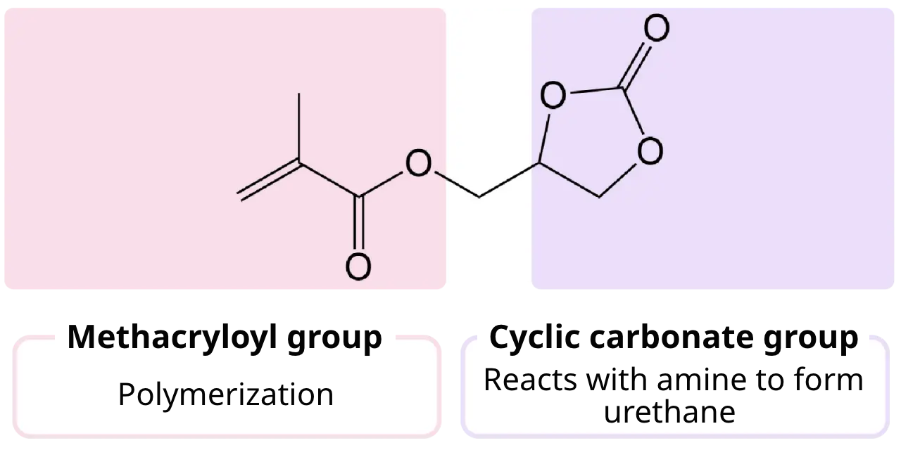 Methacryloyl group、Cyclic carbonate group