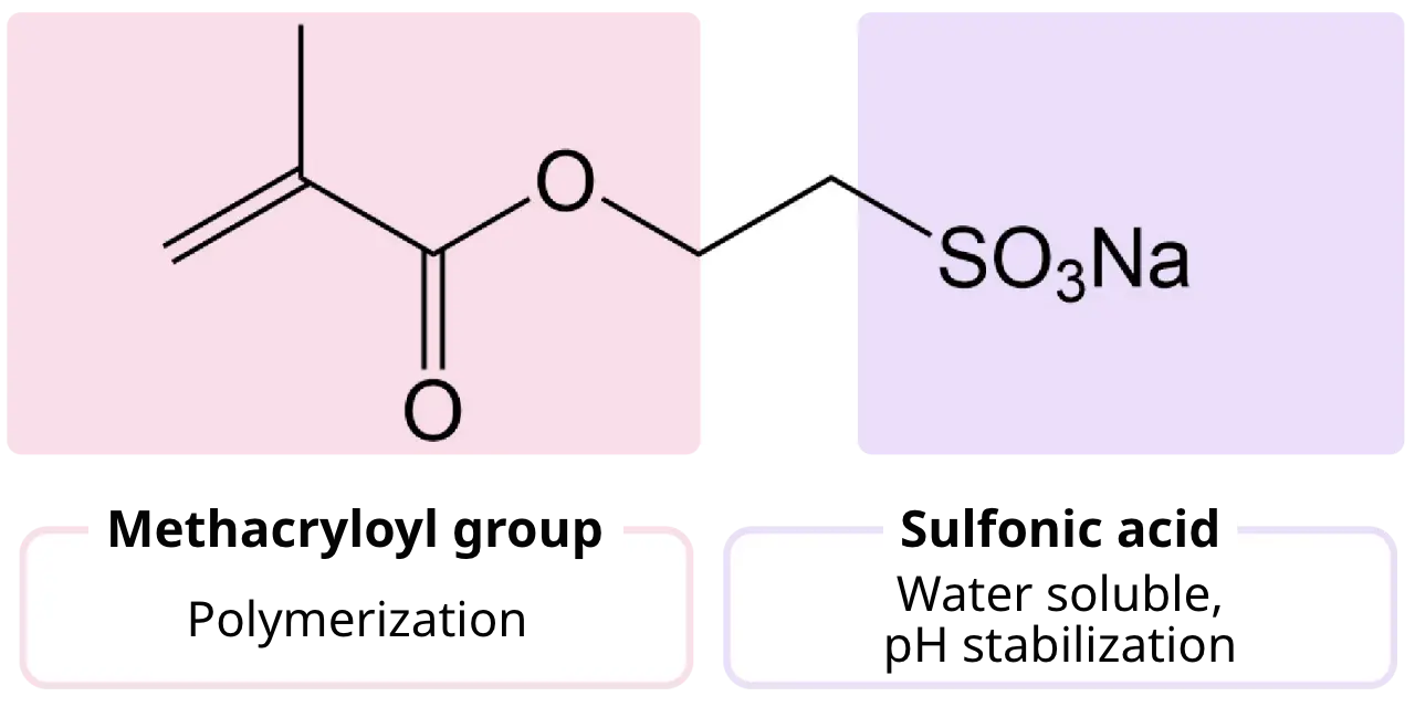 Methacryloyl group,Sulfonic acid