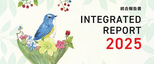 統合報告書ダウンロード