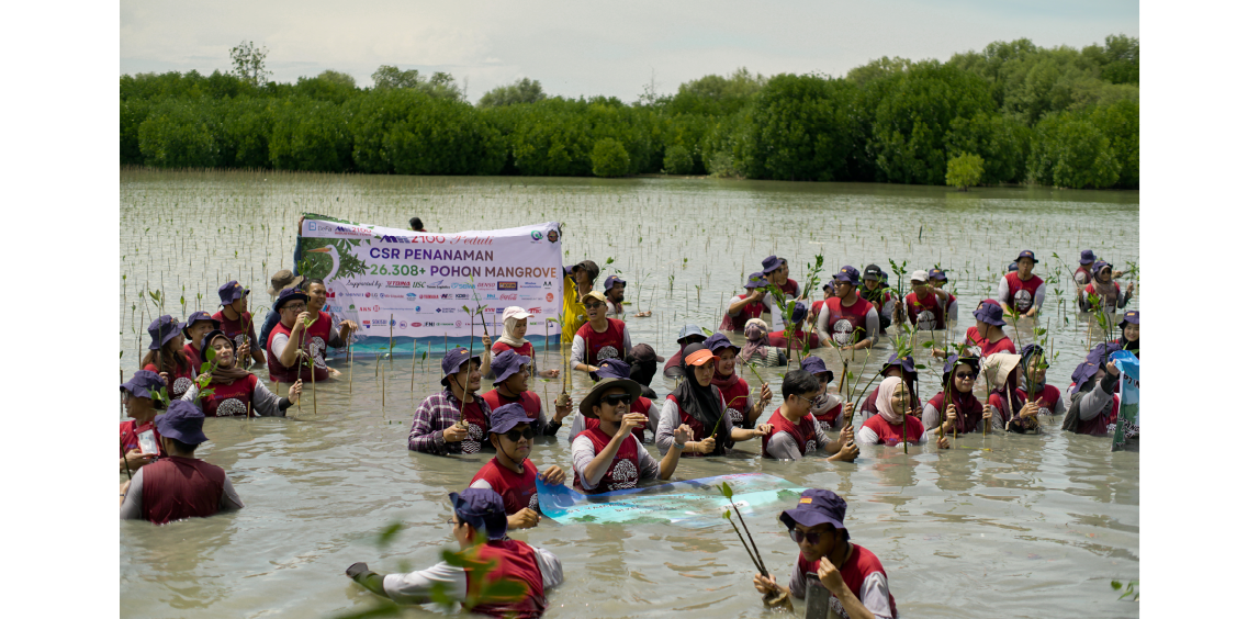  This is a photograph of about 30 people planting trees in a brackish water area, standing in water that reaches about chest height.