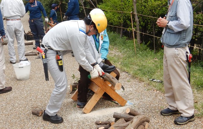 This is a photograph of two people wearing work clothes processing a wooden structure outdoors.