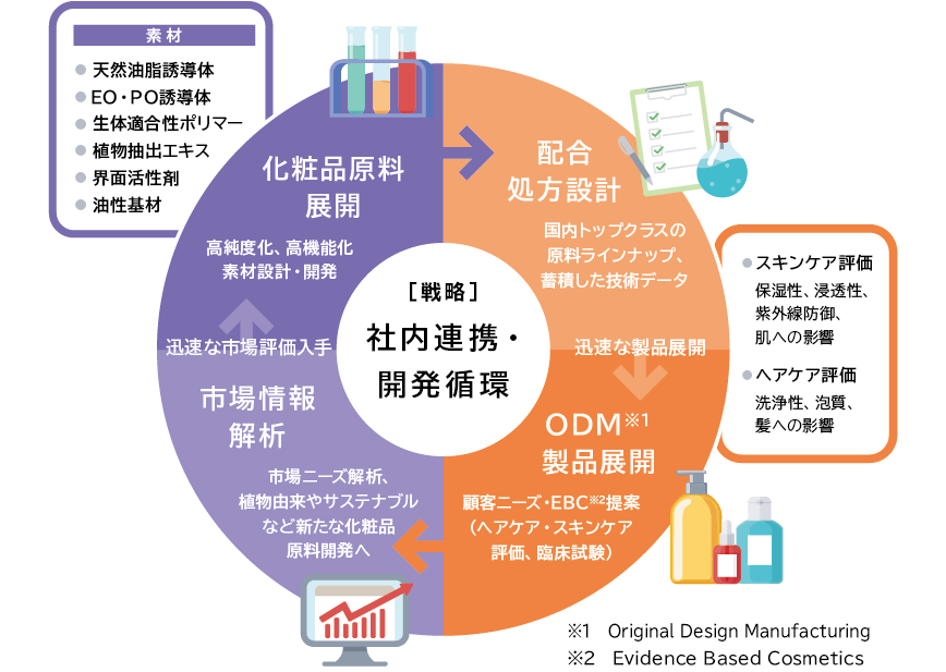  日油グループの化粧品関連事業における社内連携と開発循環の戦略を示した円環図です。中央に戦略として社内連携・開発循環が掲げられ、化粧品原料展開、配合処方設計、ODM製品展開、市場情報解析の4つのステップが時計回りに循環しています。左上の化粧品原料展開では、天然油脂誘導体や生体適合性ポリマーといった日油の素材を用いて高純度化・高機能化した素材を設計・開発しています。右上の配合処方設計から右下のODM製品展開にかけては、これまでに培ってきたスキンケア評価技術やヘアケア評価技術をもとに、豊富な原料ラインナップや技術データを活用した配合処方設計、顧客ニーズや科学的根拠にもとづくEBC提案や臨床試験をおこなうODM製品展開を、迅速に展開しています。左下の市場情報解析では、得られた市場評価やニーズを解析し、植物由来やサステナブルなどの新たな原料開発へと還元しています。