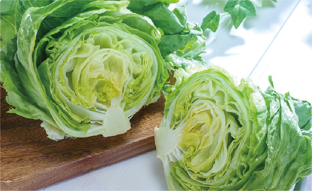  断面が見えるように2つにカットされた、みずみずしく新鮮なレタスです。
