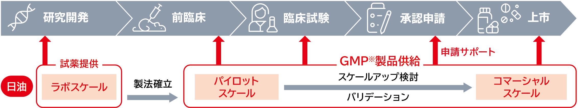 顧客である製薬メーカーの創薬フローと、DDS素材メーカーである日油のサポート体制を示した図解です。製薬メーカーの研究開発、前臨床、臨床試験、承認申請、上市という5つの開発ステージに対応して日油が展開する取り組みが示されています。研究開発段階ではラボスケールで試薬を提供し、製法確立後はパイロットスケールでスケールアップ検討やバリデーションを行いながら前臨床および臨床試験へGMP製品を供給しています。さらに承認申請段階では申請サポートを行い、上市段階ではコマーシャルスケールでGMP製品を供給する一連の流れが矢印で描かれています。