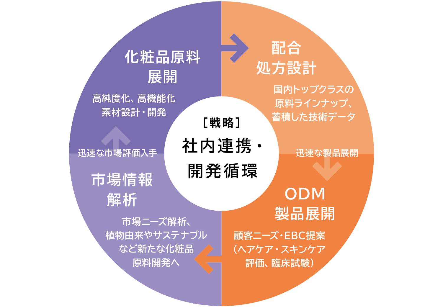 化粧品事業の循環型戦略を表した図です。化粧品原料の開発から配合処方、ODM（相手先ブランドによる設計・製造）製品の展開、そして市場情報を基にした新原料開発というサイクルを迅速に回すことで、競争優位性を維持しています。