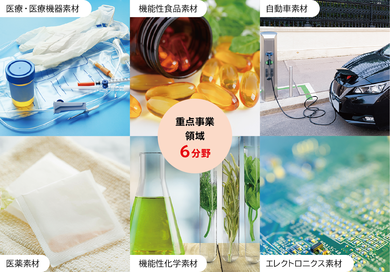 研究本部の6つの重点事業領域は、医薬素材、医療・医療機器素材、機能性化学素材、機能性食品素材、エレクトロニクス素材、自動車素材です。