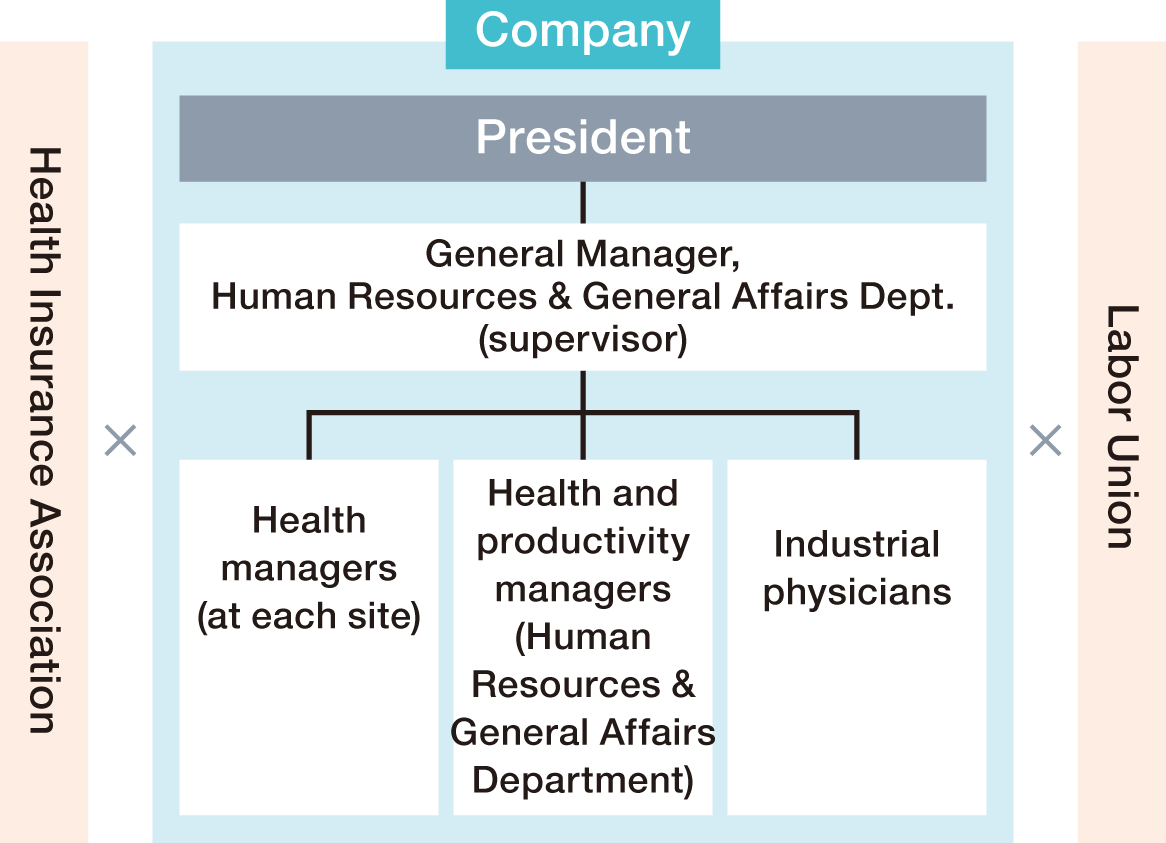 This is the organizational chart for promoting health and productivity management. The President heads the initiative, with the General Manager of Human Resources and General Affairs serving as the overall supervisor; this role coordinates the staff responsible for health management (across various locations) and health and productivity management promotion (within the HR and General Affairs Department), as well as the occupational physician. Furthermore, the company collaborates with the health insurance association and the labor union to advance these health and productivity management efforts.