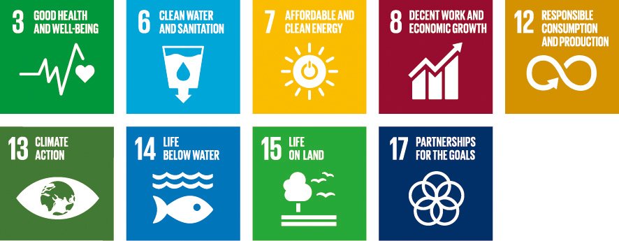 These are the logos for SDGs Goals 3, 6, 7, 8, 12, 13, 14, 15, and 17.