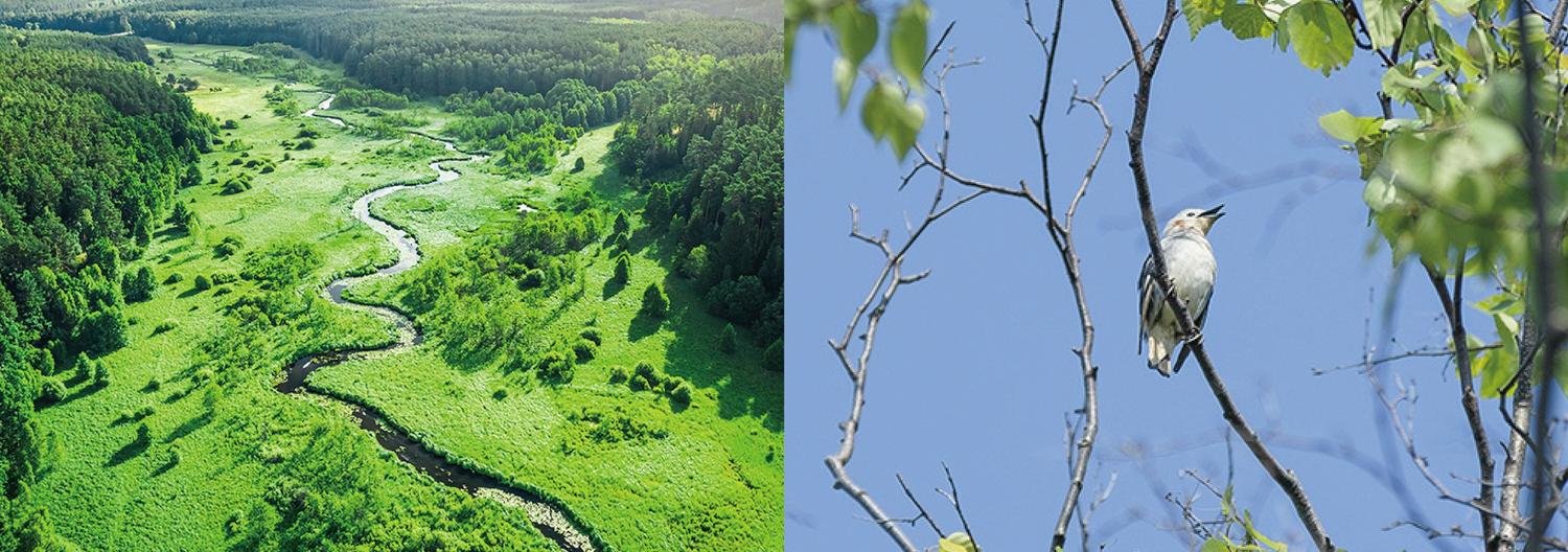 This is a image related to Climate Action and Natural Capital  (TCFD/TNFD)