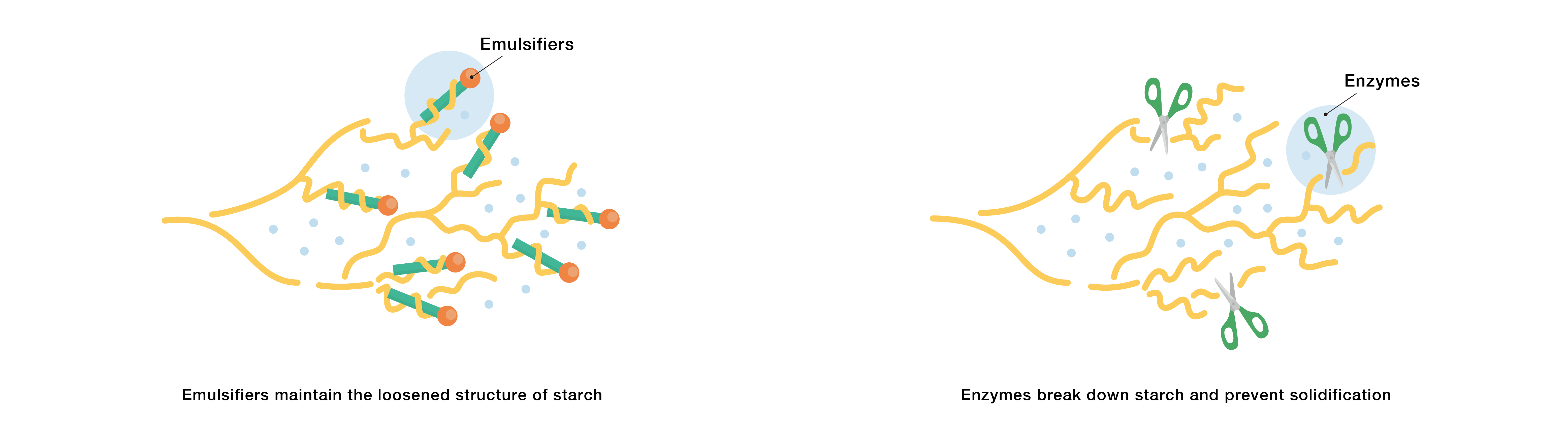 These illustrations show how emulsifiers keep starch in a loosened structure and how enzymes break down starch.