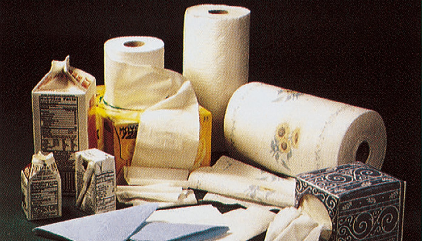 There are three rolls of recycled toilet paper, one large milk carton, two small milk cartons, one box of tissues, and several envelopes lined up.