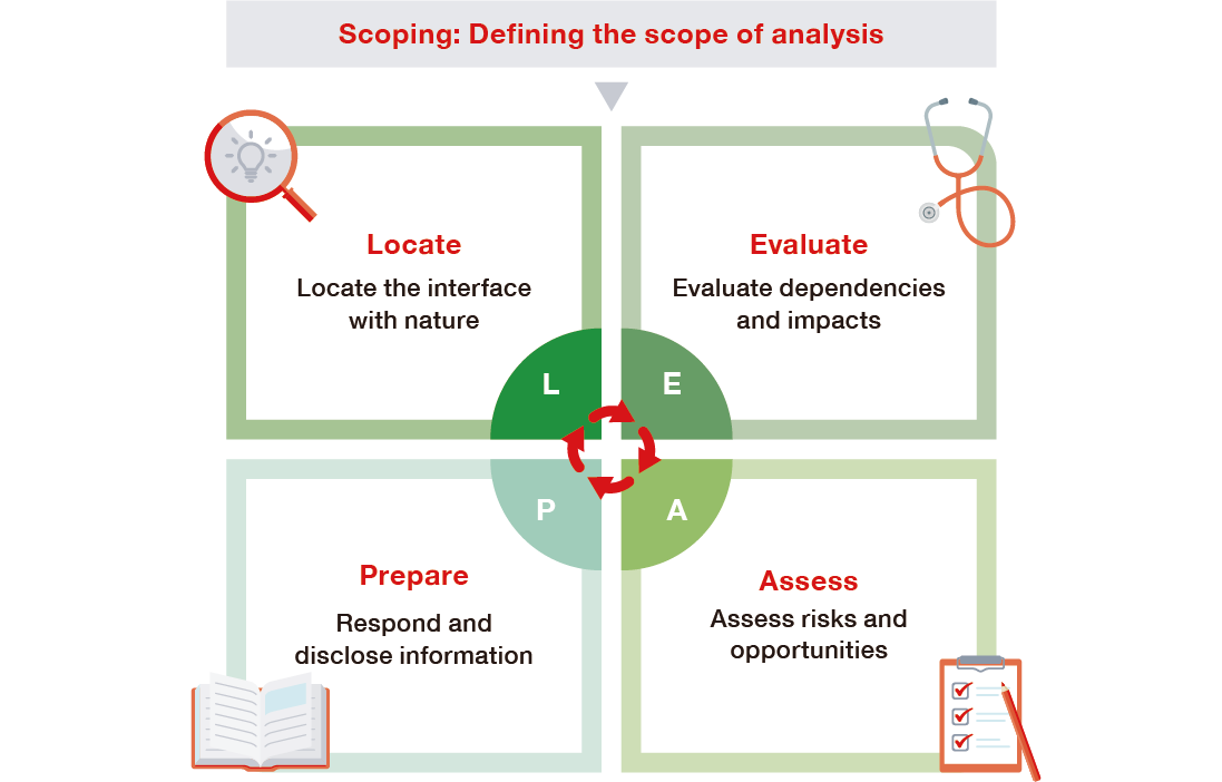 This diagram illustrates the LEAP approach. The cycle begins with 