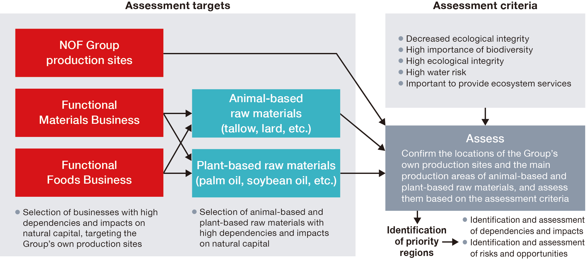 This is a detailed diagram of the scoping process. The subjects of assessment include the NOF Group’s production sites as well as the Functional Materials and Functional Foods businesses—sectors characterized by high levels of dependence on and impact on nature—along with animal- and plant-based raw materials, which also entail significant dependence and impact. We verify the locations of production sites and the primary origins of these raw materials, evaluating them against five specific criteria. Following these steps, we identify priority regions and proceed to identify and assess dependencies and impacts, as well as risks and opportunities.