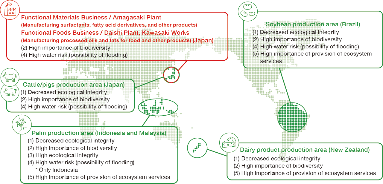 This is a world map highlighting the priority regions for the NOF Group. Regarding production sites, the map identifies the Amagasaki Plant (part of the Functional Materials Business, which manufactures surfactants and fatty acid derivatives) and the Kawasaki Works/Daishi Plant (part of the Functional Foods Business, which produces processed food oils and fats)—all located in Japan, where animal and vegetable raw materials are utilized. As for raw material sourcing regions, it identifies Indonesia and Malaysia (palm cultivation), Japan (cattle and pig farming), Brazil (soybean cultivation), and New Zealand (dairy production).