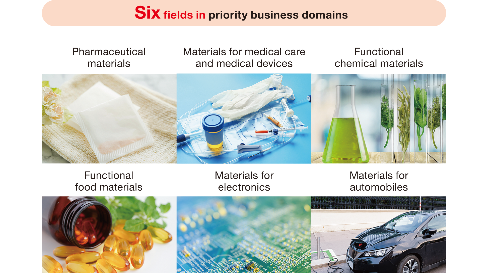 These are illustrative photos representing the Research Headquarters' six priority business areas: medical and medical device materials, functional food ingredients, automotive materials, pharmaceutical materials, functional chemical materials, and electronics materials.