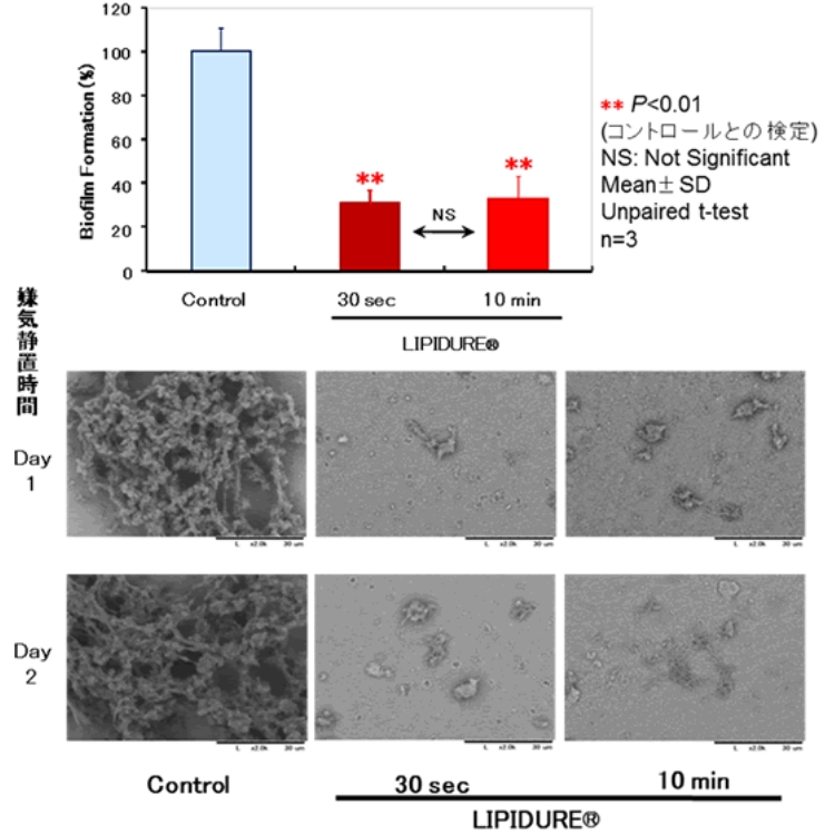 LIPIDURE®の虫歯菌(S. mutans)付着防止効果